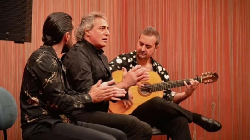 Seville: Flamenco Show at Tablao Luzia in Triana - A Genuine Look at the Flamenco Experience at Tablao Luzia