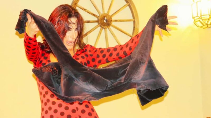 Seville: Flamenco Show & Cocktail Experience - The Performers & Music