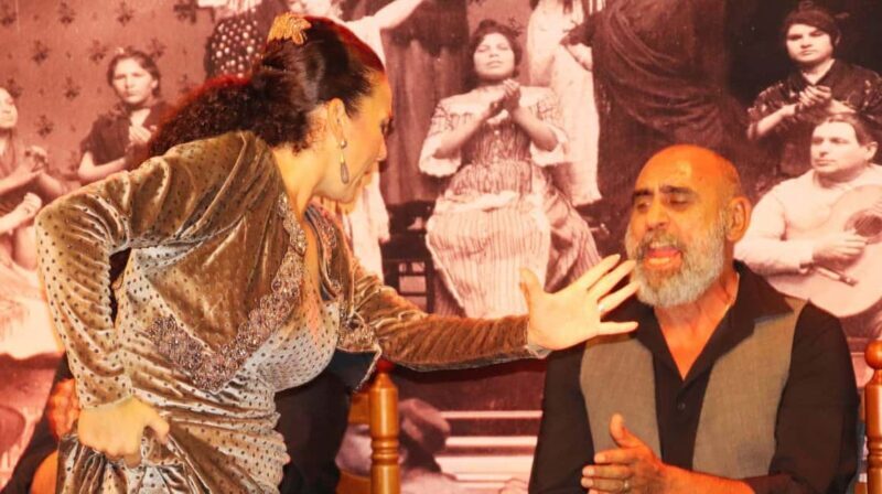 Seville: Flamenco Show & Cocktail Experience - Accessibility & Practical Information