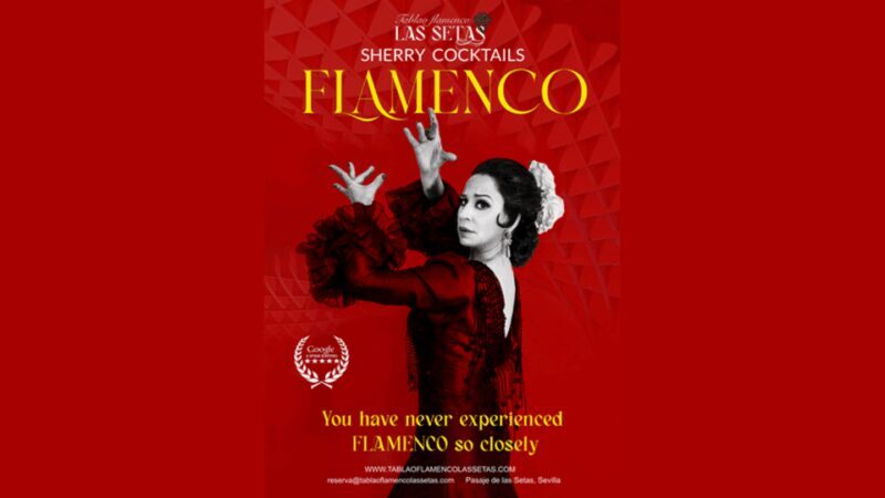 Seville: Flamenco Show Ticket at Tablao Flamenco Las Setas - Key Points