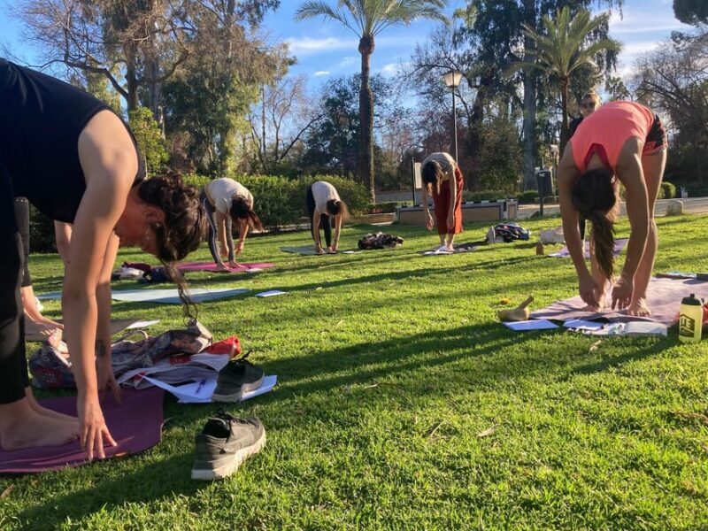 Seville: Group Yoga classes All levels - in French - The Deep Dive: What’s Truly Included and How It Works