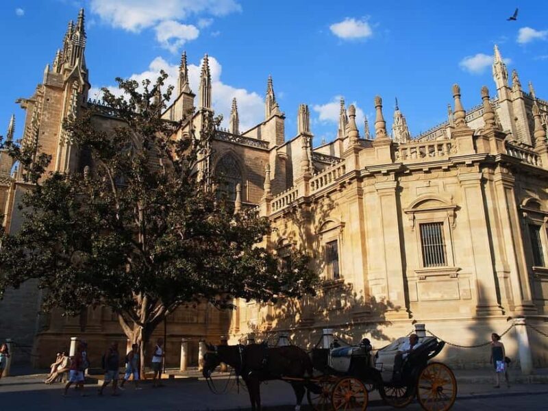 Seville: Guided Walking Tour of the Old Town - The Experience of the Guides