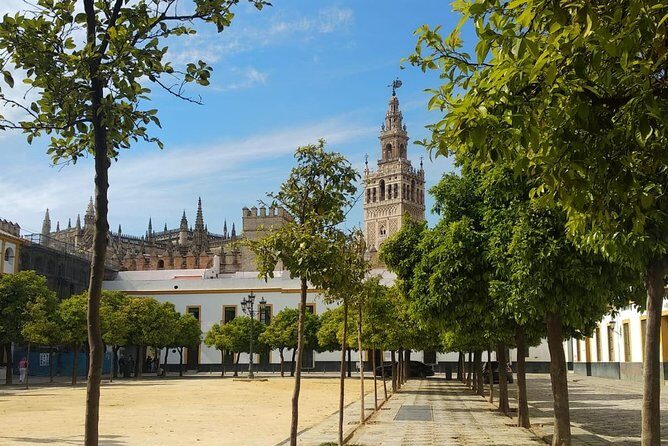 Seville Highlights Private Walking Tour - What’s Included and What’s Not
