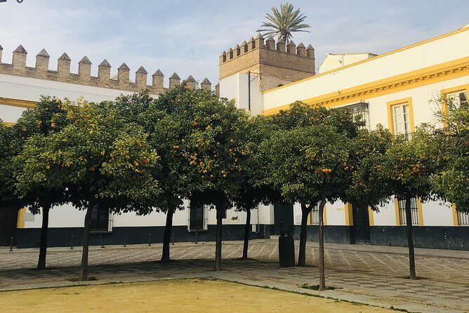 Seville Highlights Private Walking Tour - Who Should Consider This Tour?
