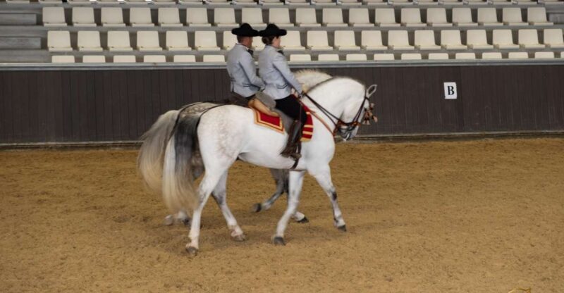 Seville: Horse's Show Entry Ticket. Optional Stud Farm Visit - What to Expect at the Yeguada Torreluna Horse Show