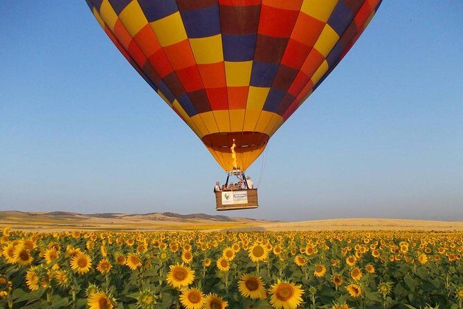 Seville Hot-Air Balloon Ride with Breakfast, Cava & Hotel Pick up - An Introduction to the Experience