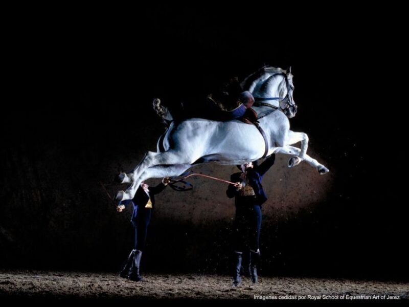 Seville: Jerez, Cadiz Wine Tasting with Optional Horse Show - Is This Tour Worth It?