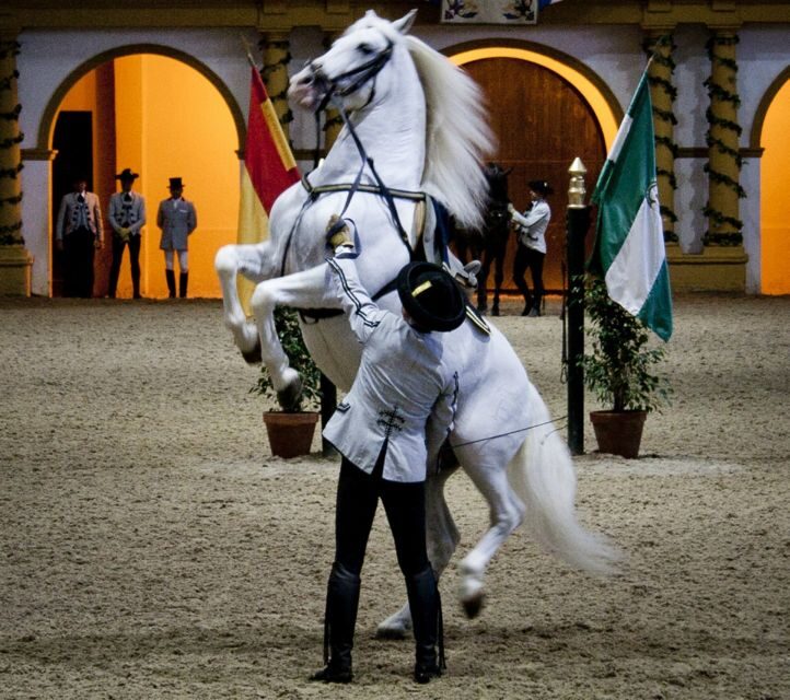 Seville: Jerez, Cadiz Wine Tasting with Optional Horse Show - Who Will Love This Tour?