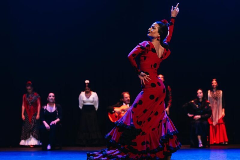 Seville: Live Flamenco Dancing Show Ticket at the Theater - The Pros and Cons