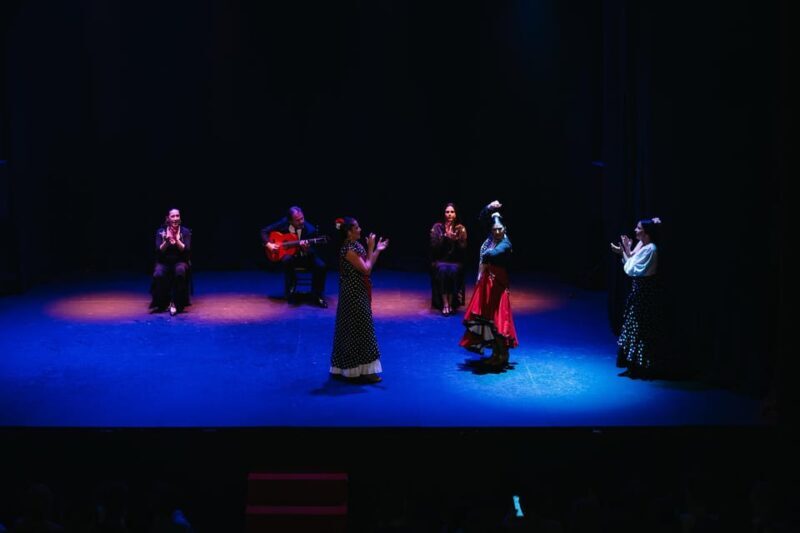 Seville: Live Flamenco Dancing Show Ticket at the Theater - Who Should Consider This Tour?