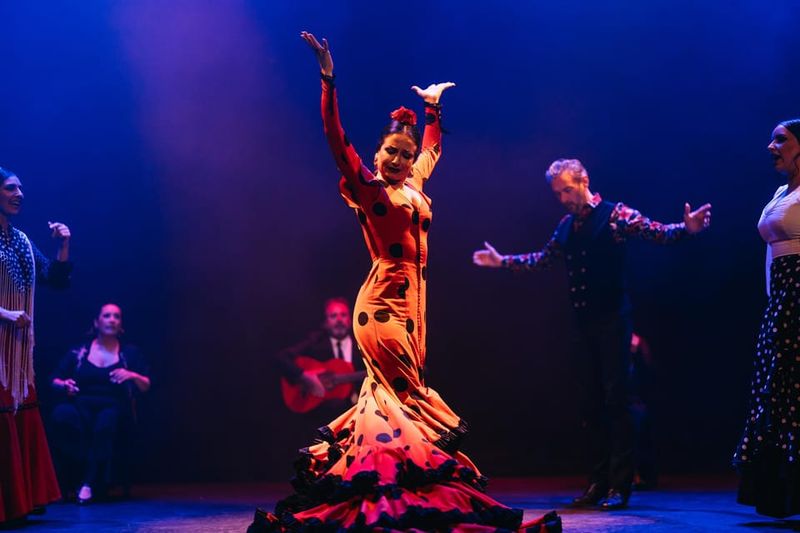 Seville: Live Flamenco Dancing Show Ticket at the Theater - Accessibility and comfort: how it feels for different travelers