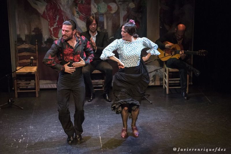 Seville: Live Flamenco Show at "Teatro Flamenco Triana" - What happens during the one-hour flamenco show