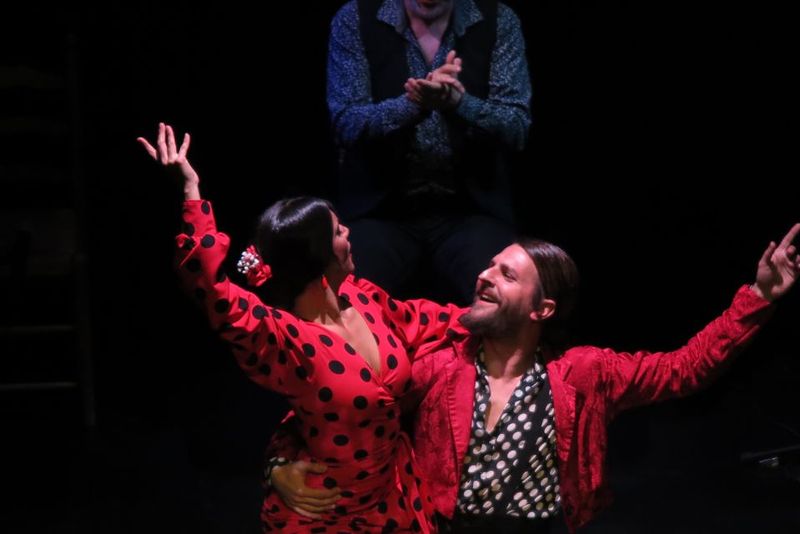 Seville: Live Flamenco Show at "Teatro Flamenco Triana" - Rules of the room: silence, no photos, and no interruptions