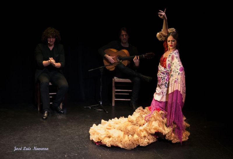 Seville: Live Flamenco Show at "Teatro Flamenco Triana" - Timing and planning: how to make the one-hour slot work