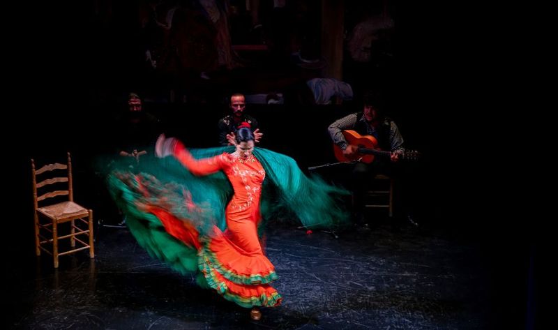 Seville: Live Flamenco Show at "Teatro Flamenco Triana" - Price and value: what about $28 per person?