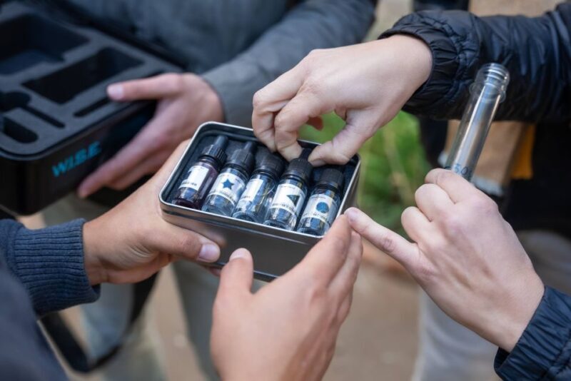 Seville: Outdoor Escape Game - Operation Mindfall - FAQ