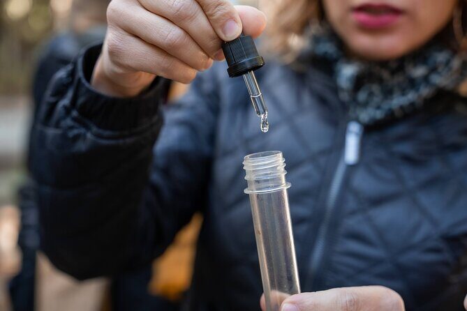 Seville: Outdoor Escape Game - Operation Mindfall - An Overview of Operation Mindfall in Seville