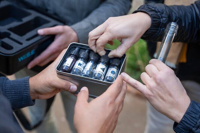 Seville: Outdoor Escape Game - Operation Mindfall - Who Should Consider This Tour?