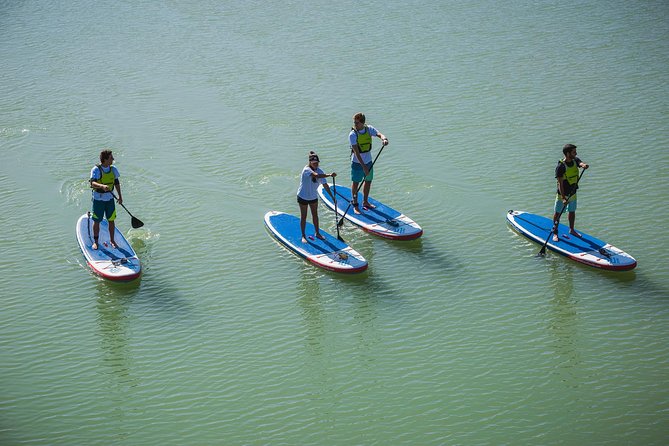 Seville: Paddle Surf Route and Class - Calmer water for beginners (with a real learning curve)
