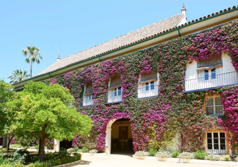 Seville: Palacio de Las Dueñas, La Macarena & Las Setas Tour - In-Depth Look at the Tour Experience