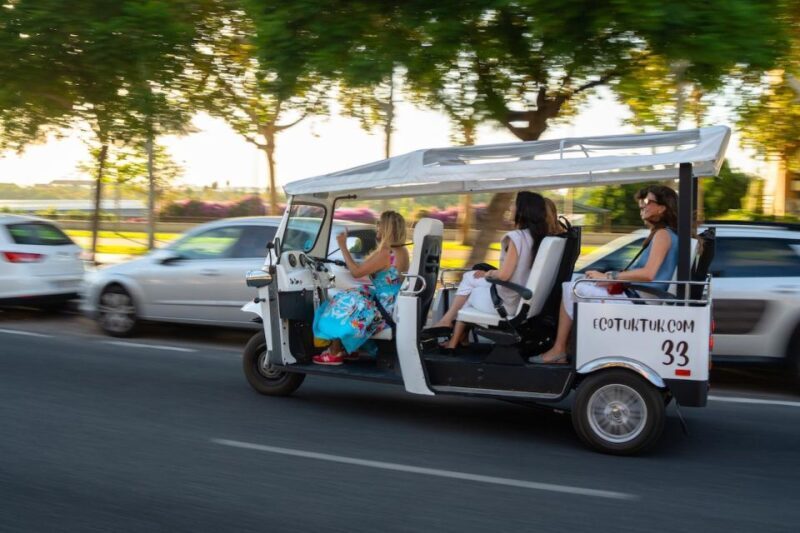 Seville: Private City Tour by Eco Tuk Tuk - The Experience in Detail
