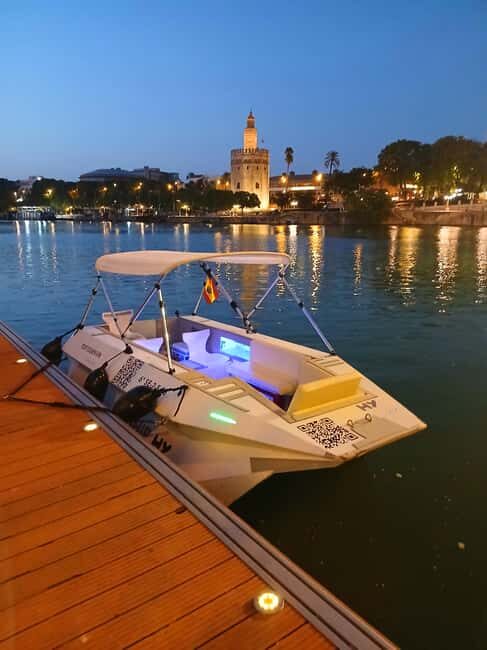 Seville: Private River Ride on a TAXI SHIP - Who Is This Tour Best For?