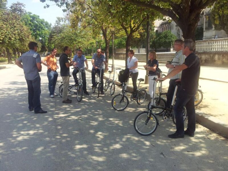 Seville: Relaxing Electric Bike tour with Tour Guide - Price and Value
