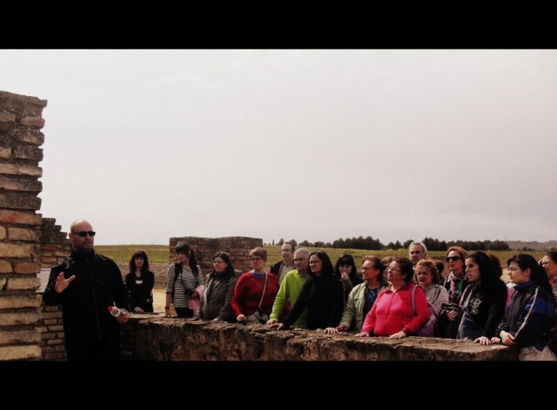 Seville: Roman City of Itálica 2 Hour Tour - A Closer Look at Itálica: What to Expect