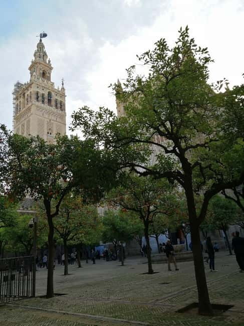SEVILLE: SANTA MARIA DE LA SEDE CATHEDRAL TOUR - What Does the Tour Include and Exclude?