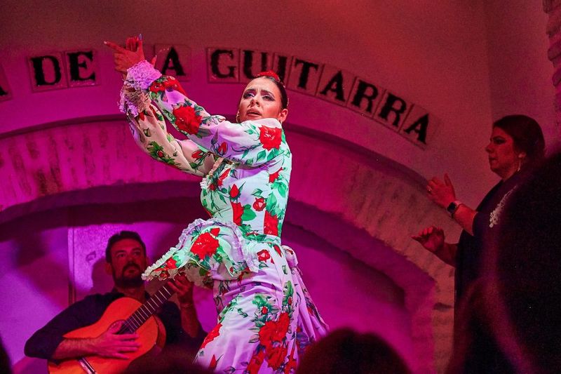 Seville: Ticket to Flamenco Show at La Casa de la Guitarra - Step Inside: The Guitar Collection Before the Show