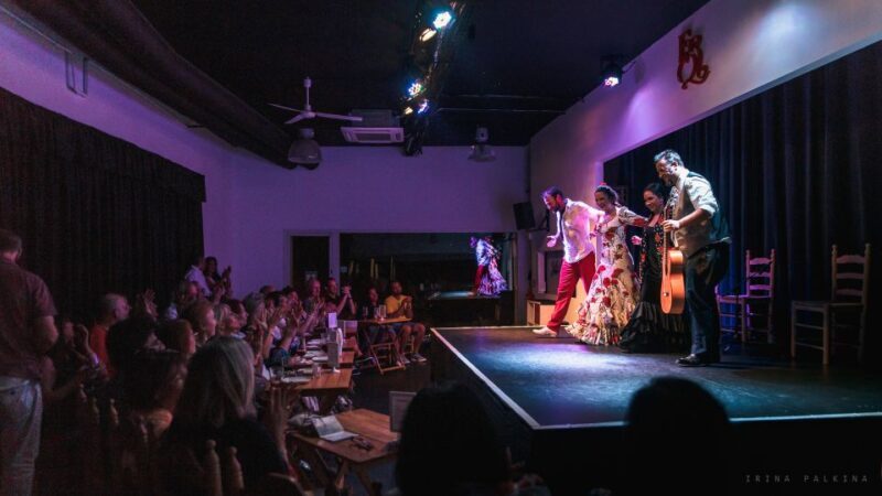 Seville: Traditional Flamenco Show in Triana - A Deep Dive into the Flamenco Experience