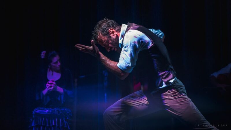 Seville: Traditional Flamenco Show in Triana - Audience and Suitability