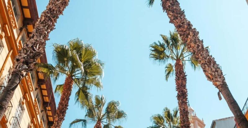 Seville: Transfer to Málaga with visit to Ronda - The Lunch Break and Additional Flexibility