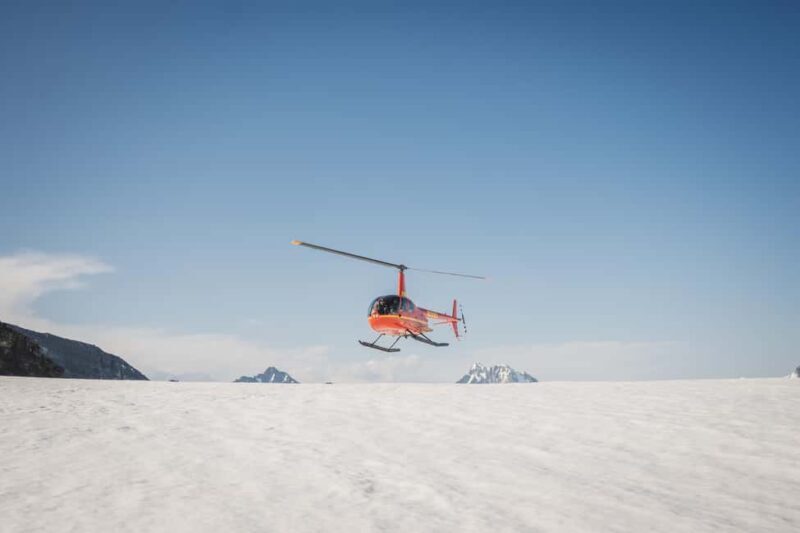 Seward, Alaska: Helicopter Glacier Dog Sledding Adventure - Dog sledding in the snow