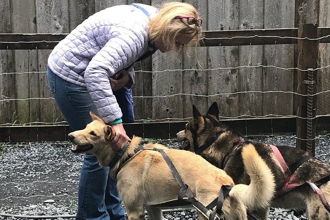 Seward and Kenai Fjords National Park Guided Tour with Lunch - Practical Tips for Making the Most of This Tour