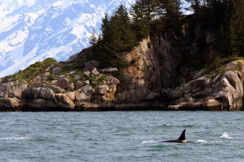 Seward: Kenai Fjords National Park Glacier & Wildlife Cruise - FAQ