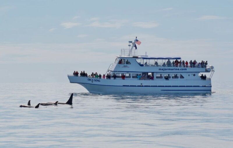 Seward: Resurrection Bay Orca Quest Cruise - The Itinerary & Experience