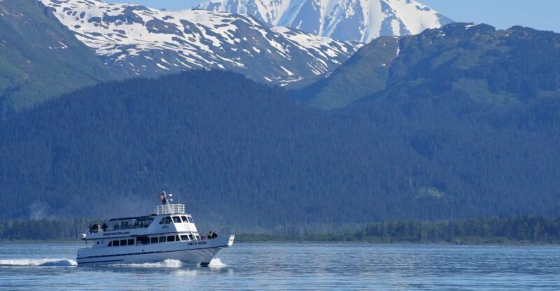 Seward: Resurrection Bay Orca Quest Cruise - Frequently Asked Questions