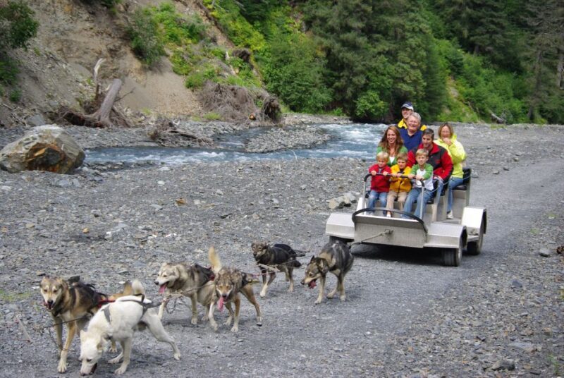 Seward: Summer Dog Sled Ride and Seavey Estate Tour - What Did Others Think?