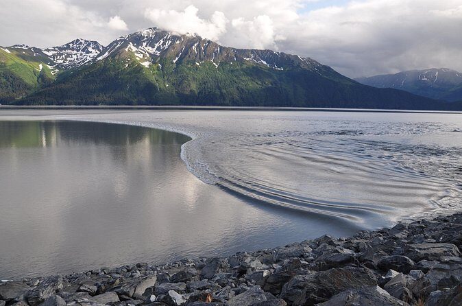 Seward to Anchorage Direct Transfer Tour - The Experience and Customer Feedback