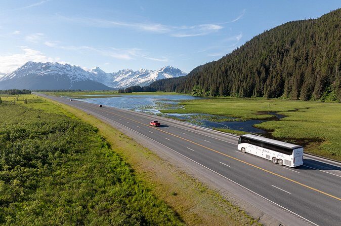 Seward to Anchorage Direct Transfer Tour - Who Should Consider This Tour?