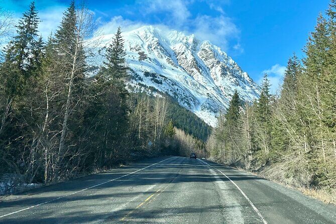Seward to Anchorage Full Day Transit Tour with Port Pickup - Who Is This Tour Best For?