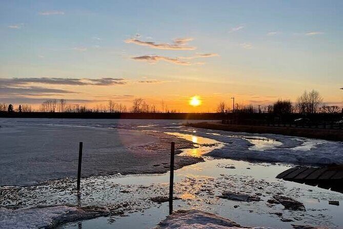 Seward to Anchorage- Post Cruise Curated Wildlife Tour +Transfer - Who Will Love This Tour?