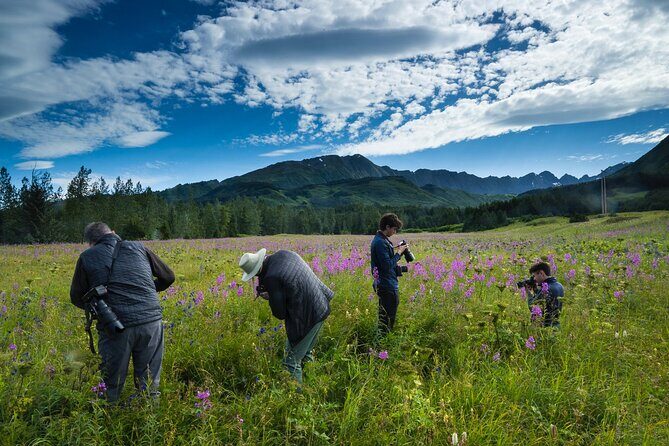 Seward to Anchorage Scenic Transfer Photo Tour - Key Points