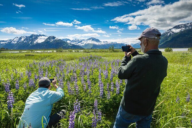 Seward to Anchorage Scenic Transfer Photo Tour - FAQ