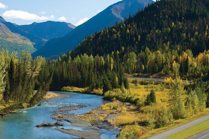 Seward to Anchorage Wildlife Adventure - The Experience in Detail