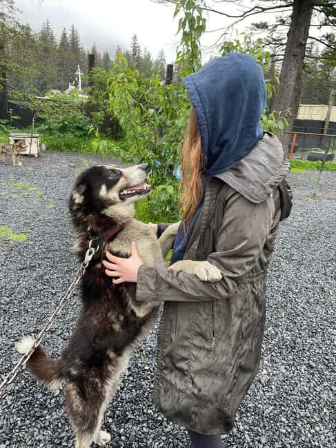 Seward: Turning Heads Kennel Tour & Dog Sled Ride - Who Should Consider This Tour?
