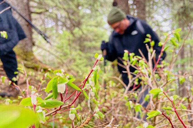 Seward Wilderness Hiking - Who Should Book This Tour?