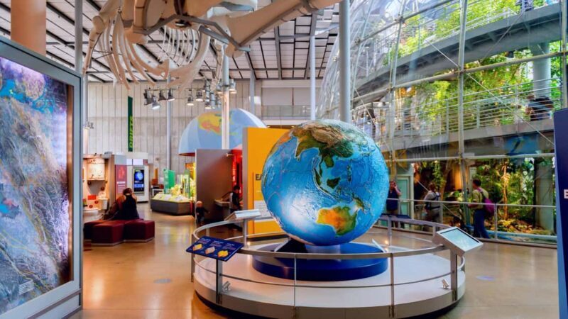 SF: CA Academy of Sciences & Hop-on Hop-off Tour (Save 15%) - Key Points