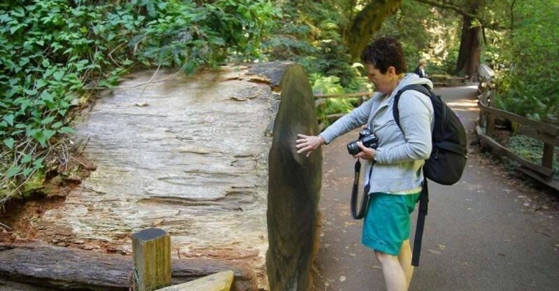 SF: Guided Muir Woods Tour & Hop-On Hop-Off Tour (Save 15%) - Sausalito: A Charming Coastal Stop